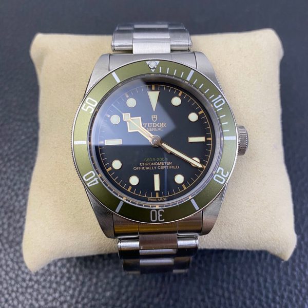 Tudor_29